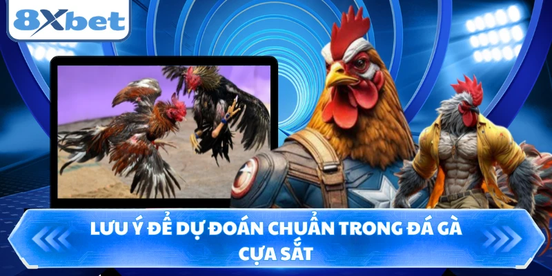 Lưu ý để dự đoán chuẩn trong đá gà cựa sắt